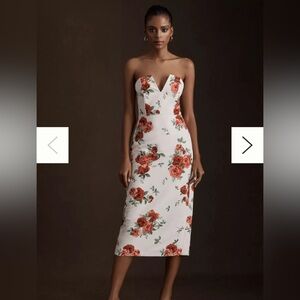 Sachin & Babi Nora Rose Strapless Dress Size 2 Ivory Red